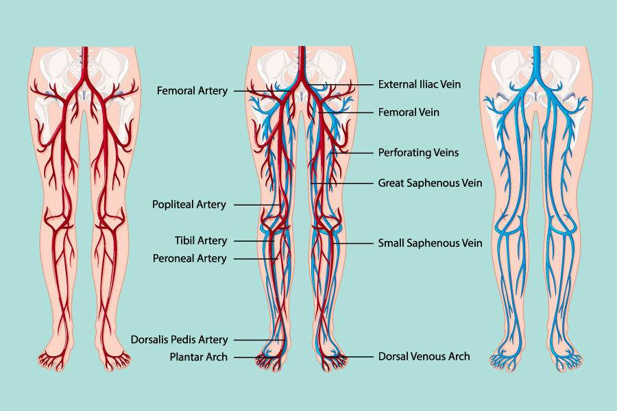 Angiologia – Chirurgia Vascolare