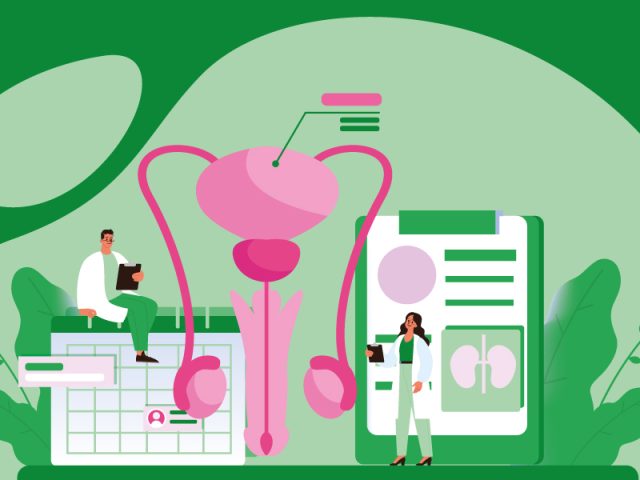 Urologia
